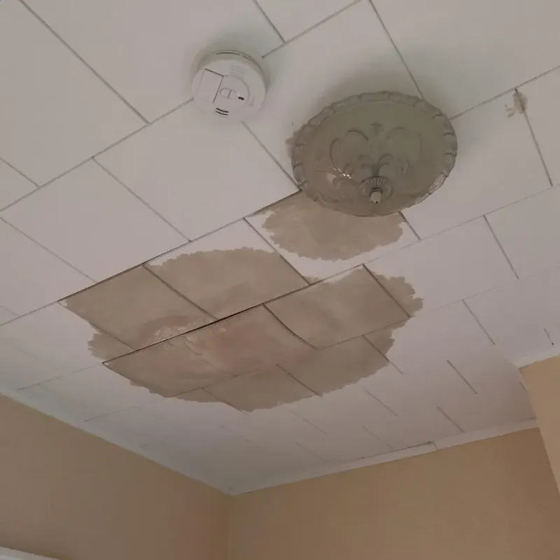 Ceiling Water Damage Repair in Dysart, IA