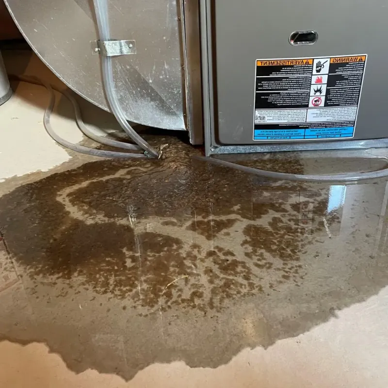 Pipe Burst and Leak Restoration in Dysart, IA