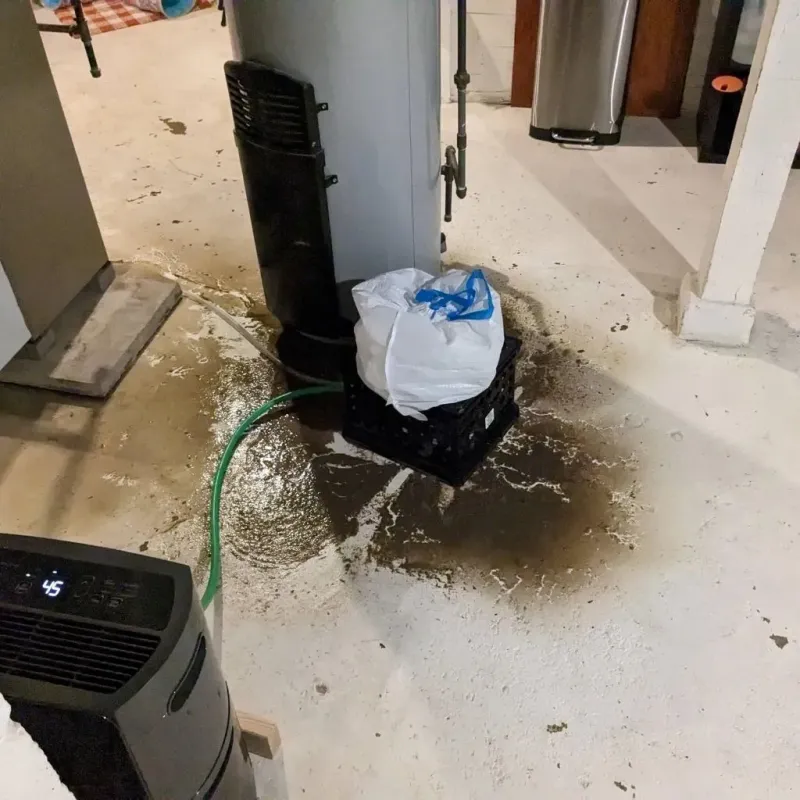 Sewage Backup Cleanup Service in Dysart, IA